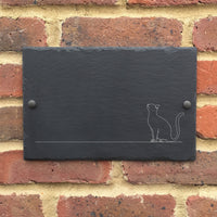 Line Cat Slate - Apollo Printing